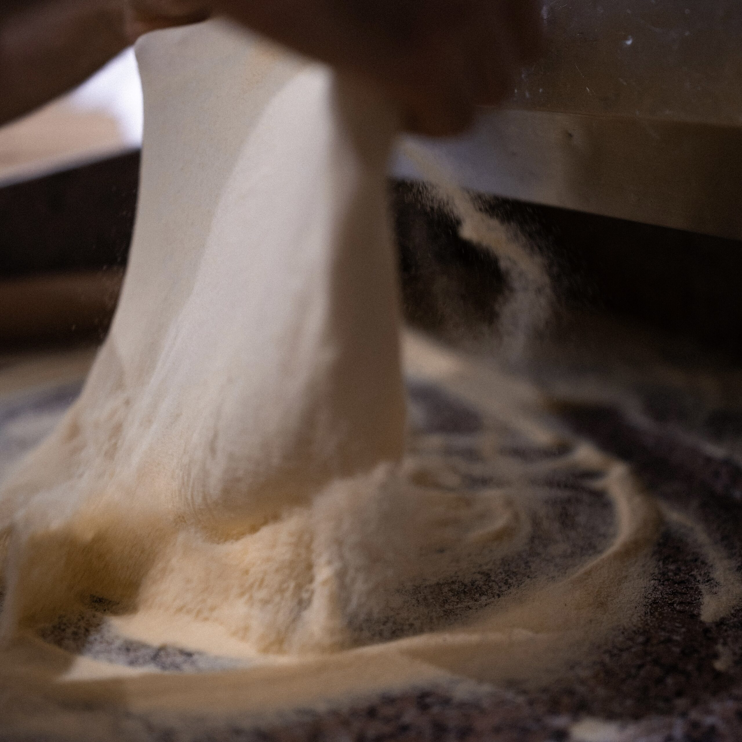 Accueil 7 2A9D5944 C145 4C14 88ED 4BF292DC4DB2 78A4030 2 scaled