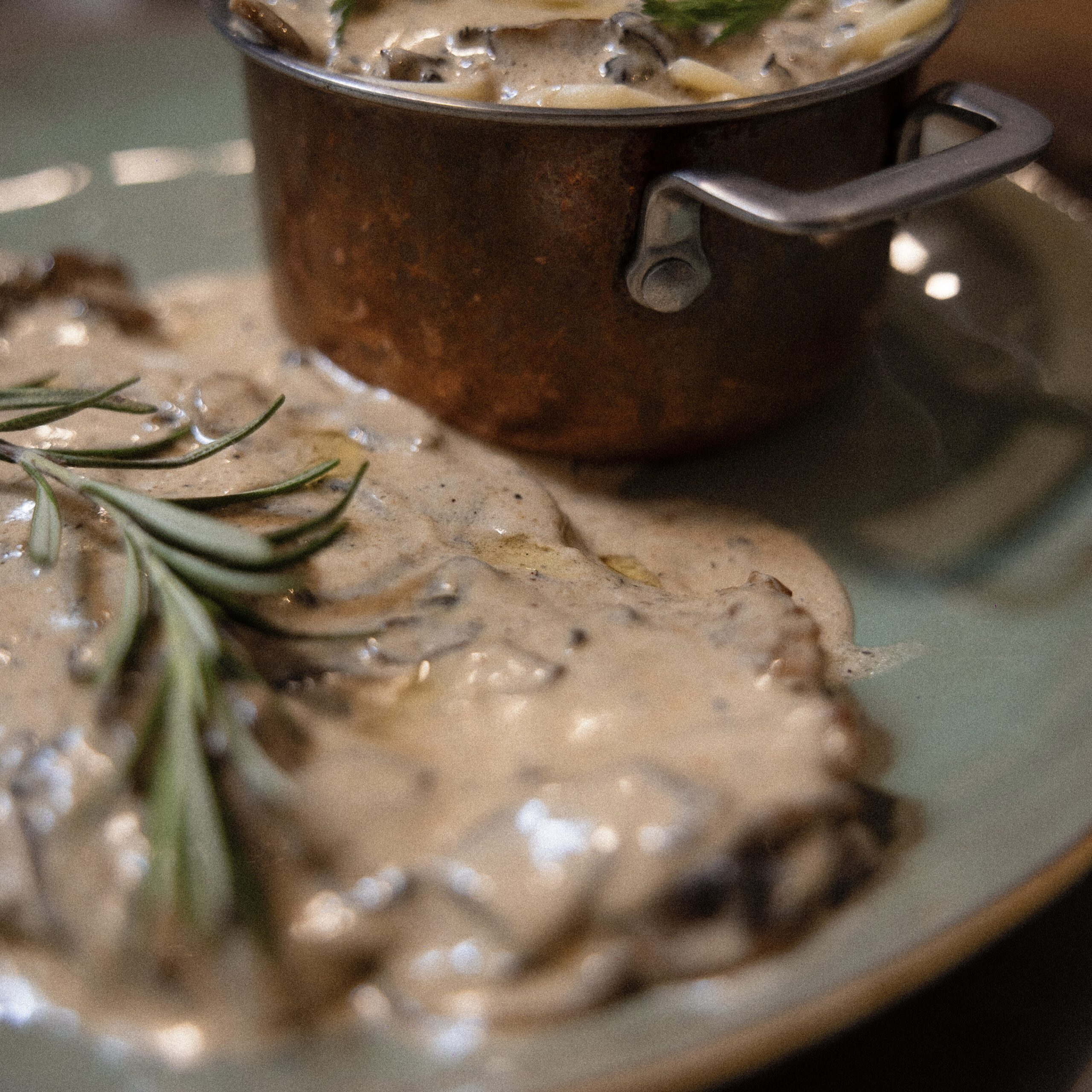 Accueil 8 3CD50C87 5822 428D 839C 178AE270F28B 78A5764 2 scaled