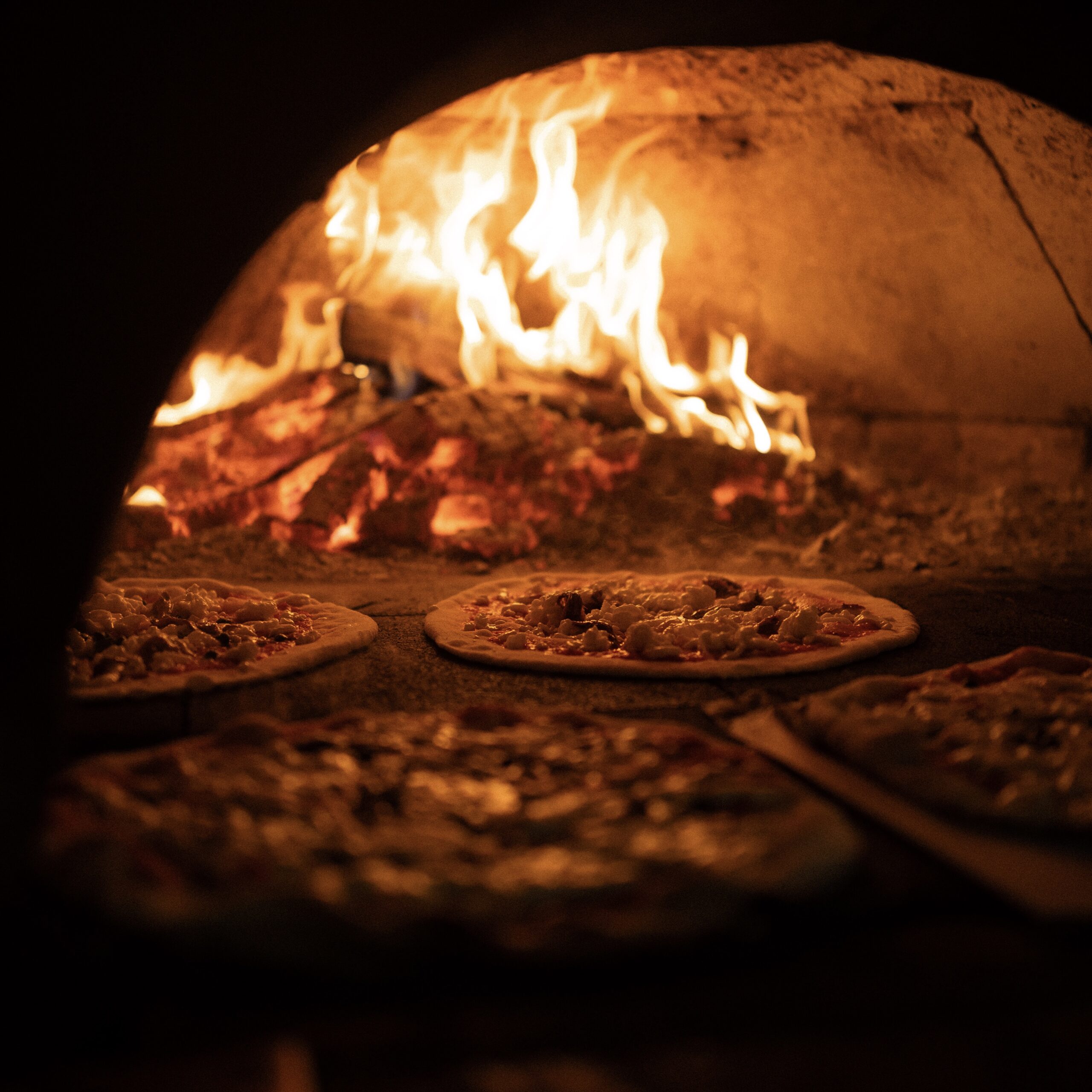 Accueil 9 9A218A82 F523 4CDD 9903 55172CD1353D 78A4019 2 scaled